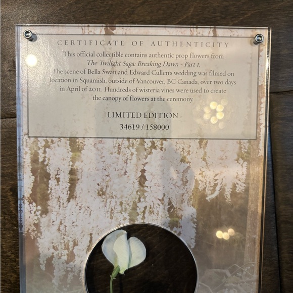 Limited Edition Twilight Saga Breaking Dawn Part 1 DVD w/ Authentic Prop Flower - Picture 4 of 9